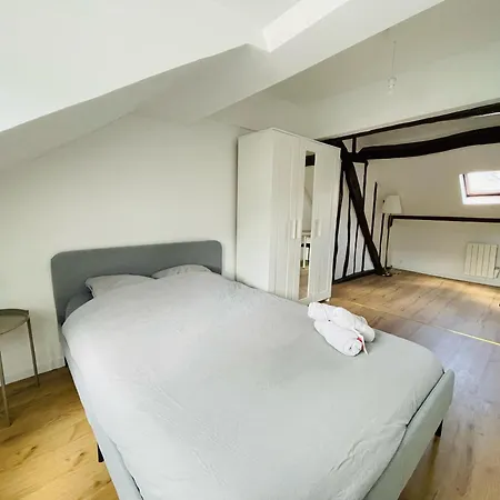 Lejlighed Duplex Beauvoisine - 387 Rouen