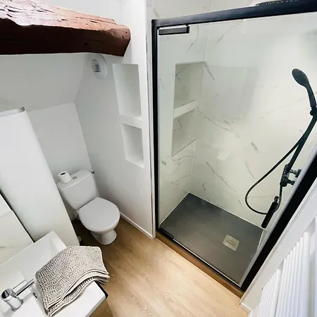 Lejlighed Duplex Beauvoisine - 387 Rouen